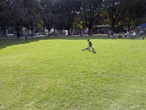 Read more about the article Eine neue Oekolampad-Matte mit Fragezeichen