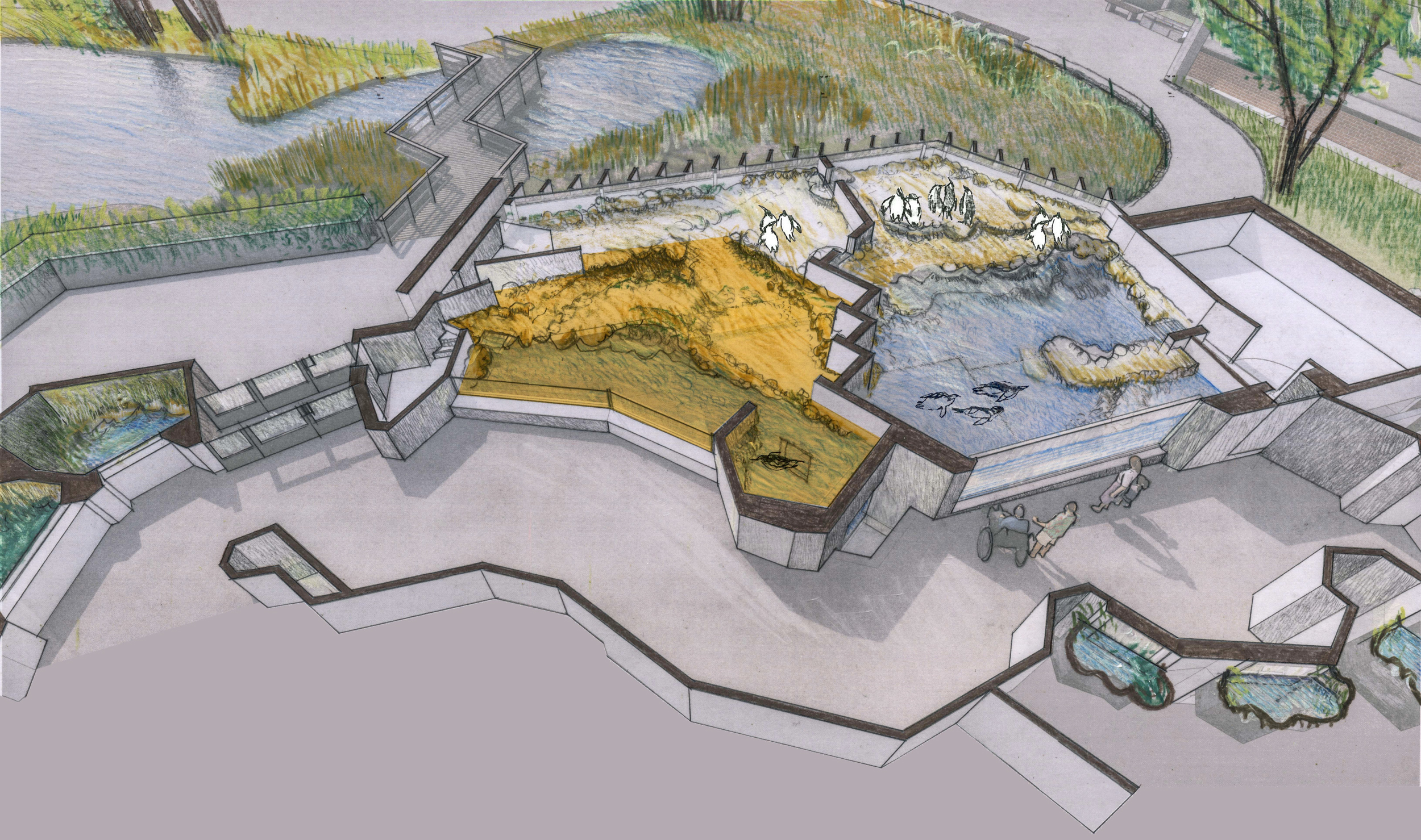 Read more about the article Neue Pinguin Anlage, mehr Platz für die Mufflons und Zuversicht beim Ozeanium