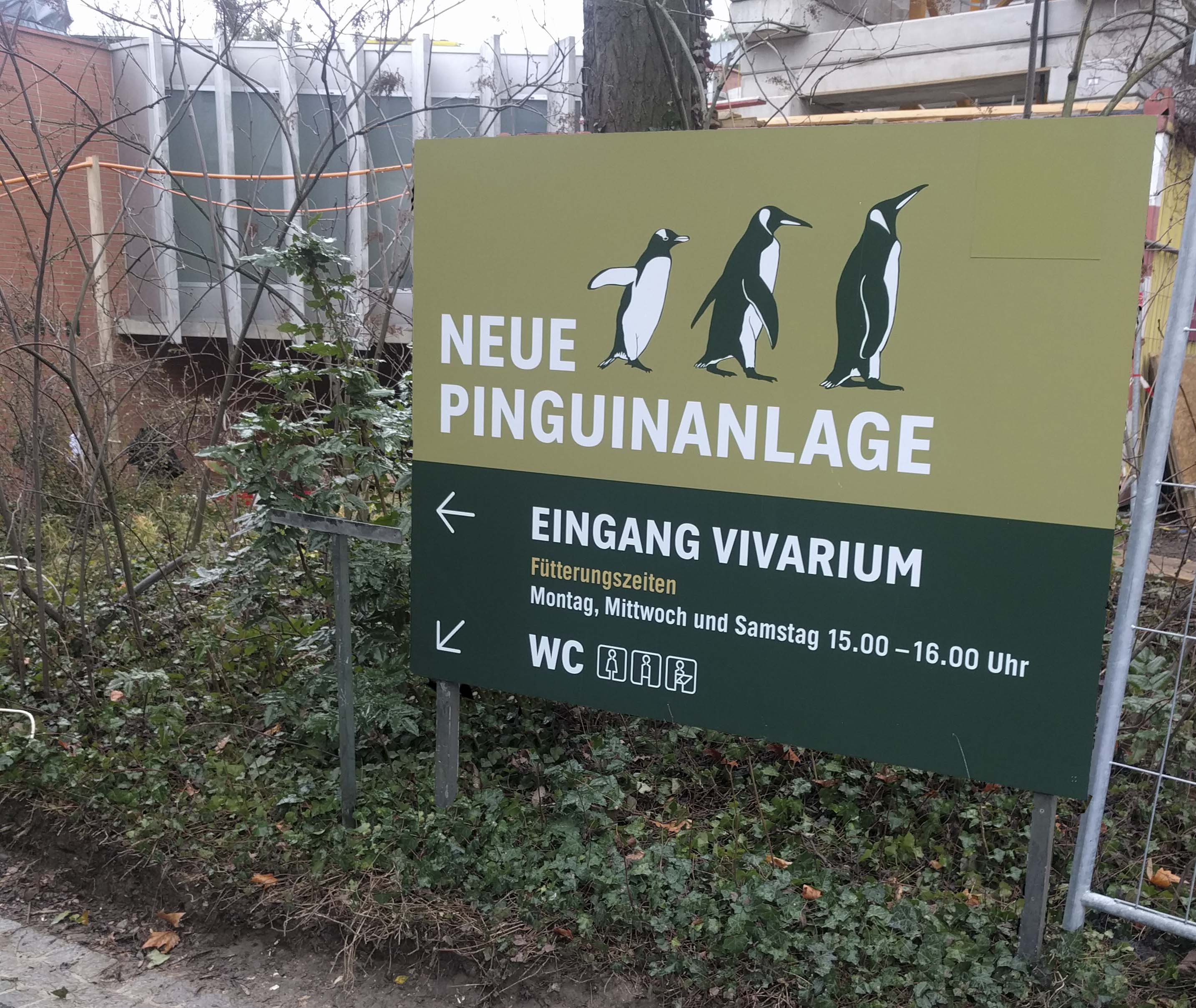Read more about the article Ganz nahe am Kreislauf der Natur.  <em><span style="font-size: 12pt;">Die Pinguine sind zurück im Zolli</span></em>