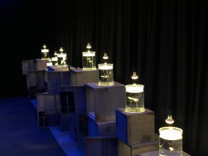 Read more about the article «Zurzeit wissen wir mehr über den Mond, als über die Meere auf unserem  eigenen Planeten» – Das soll sich ändern.