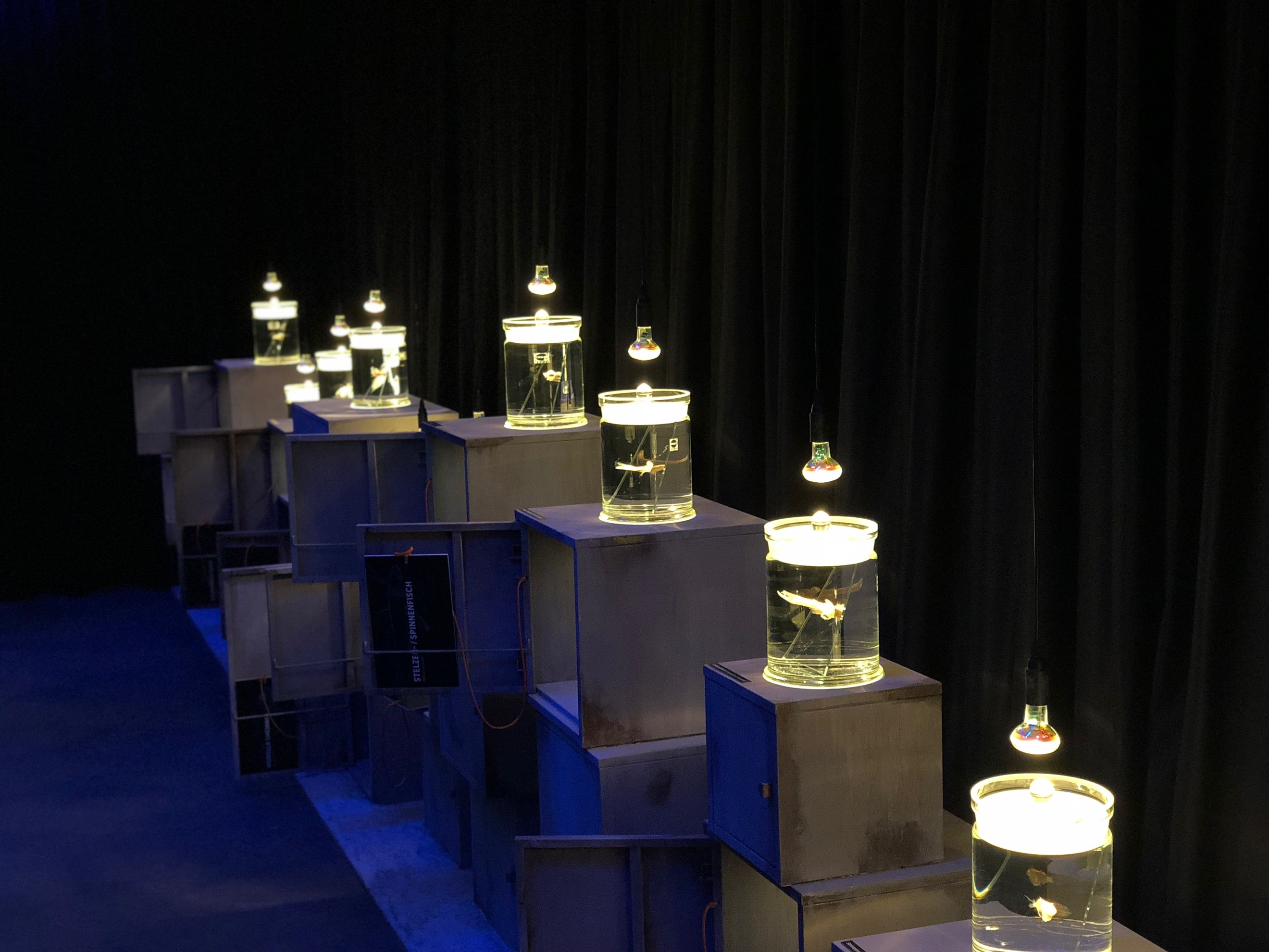 Read more about the article «Zurzeit wissen wir mehr über den Mond, als über die Meere auf unserem  eigenen Planeten» – Das soll sich ändern.