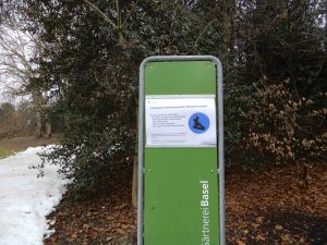 Read more about the article Basel ist kein Winterort!  <em><span style="font-size: 12pt;">Auch wenn Kinder sich einen Schneespielplatz wünschen.</span></em>